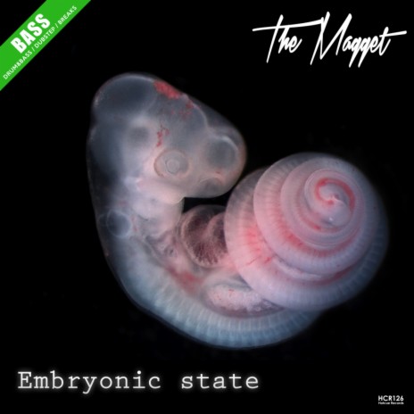 Embryonic State (Original Mix)