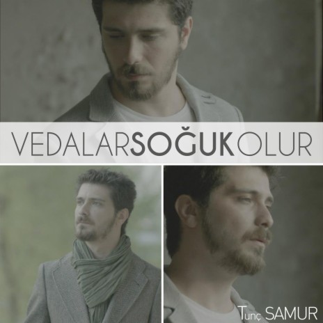 Vedalar Soğuk Olur | Boomplay Music