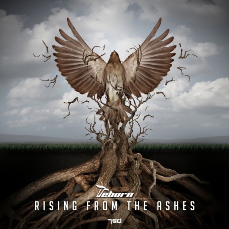 Rising From The Ashes (Original Mix) | Boomplay Music