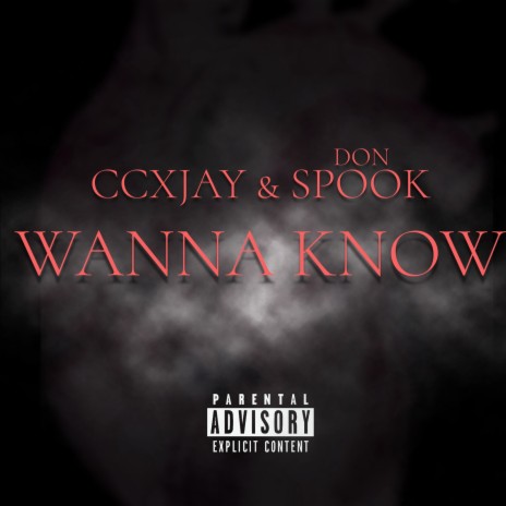 Wanna Know ft. Don Spook | Boomplay Music