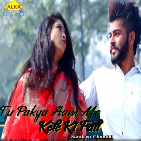 Tu Pakya Aam Me Kele Ki Fali ft. Pooja Mastana | Boomplay Music