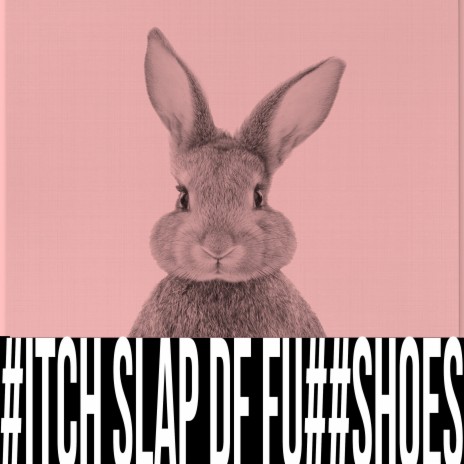 Bitch Slap D.F Fuck Shoes | Boomplay Music