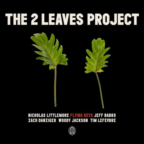 Babko Nicholas Littlemore's The Two Leaves Project - Orange Sun ft. Jeff Babko,  Zach Danziger, Woody Jackson & Tim Lefevbre MP3 Download & Lyrics | Boomplay