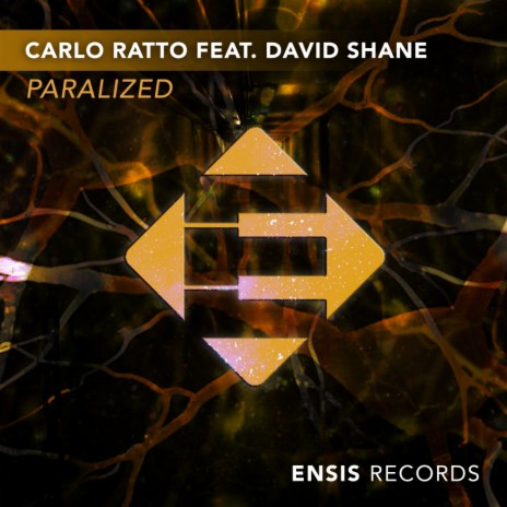Paralized (Extended Mix) ft. David Shane | Boomplay Music