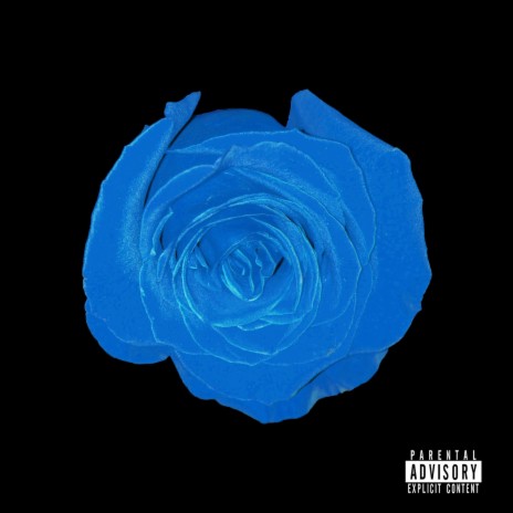 Rose Water | Boomplay Music