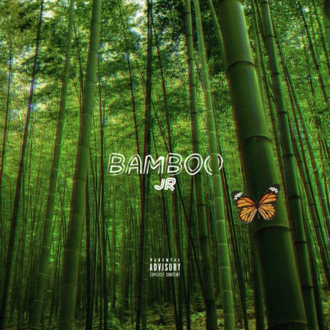 Bamboo