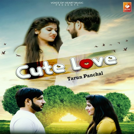 Cute Love | Boomplay Music