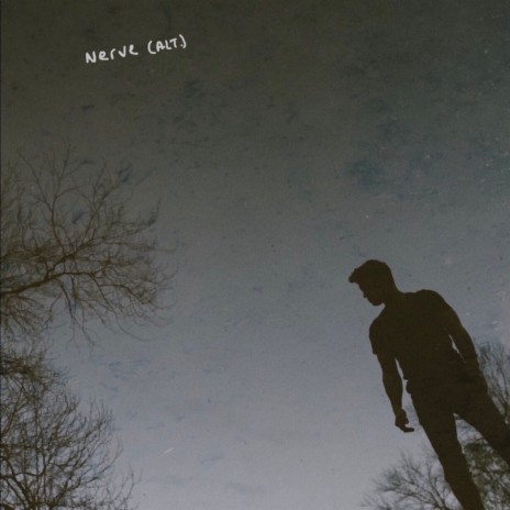 Nerve (Alt.) | Boomplay Music