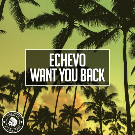 Want You Back (Original Mix)