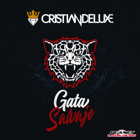 Gata Salvaje (Original Mix)