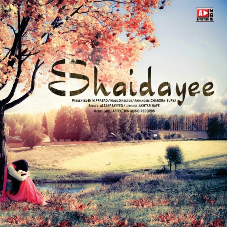 Jabse Shaidayee Hua Dil | Boomplay Music