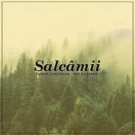 Salcâmii (MD Dj Remix Extended) ft. MD Dj | Boomplay Music