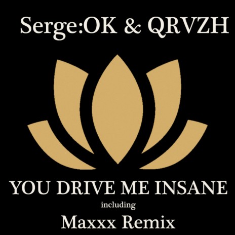 You Drive Me Insane (Maxxx Remix) ft. QRVZH | Boomplay Music