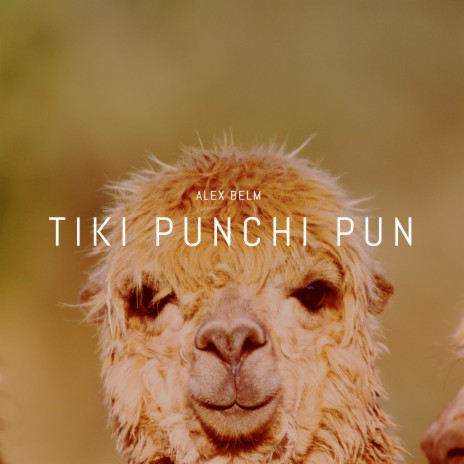 Tiki Punchi Pun | Boomplay Music