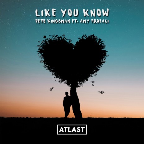 Like You Know (Original Mix) ft. Amelia | Boomplay Music