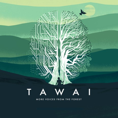 Tawai for the Mountains | Boomplay Music