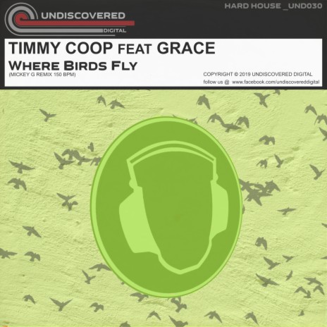 Where Birds Fly ft. Grace & Mickey G | Boomplay Music