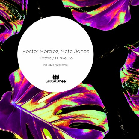 Kostra (David Aurel Remix) ft. Mata Jones & David Aurel