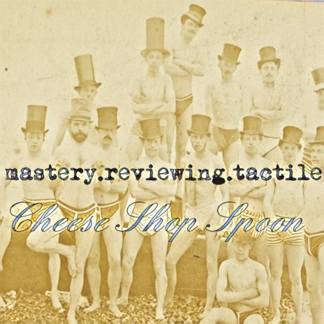 Mastery.Reviewing.Tactile