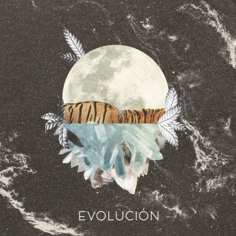 Evolución | Boomplay Music