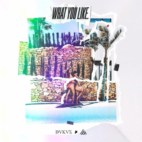 What You Like ft. SNE | Boomplay Music