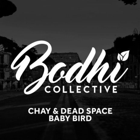 Baby Bird ft. Dead Space | Boomplay Music