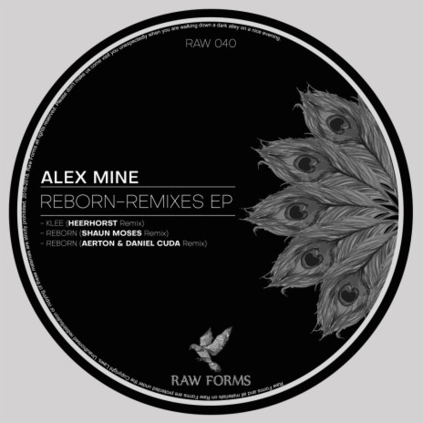 Reborn (Aerton & Daniel Cuda Remix)