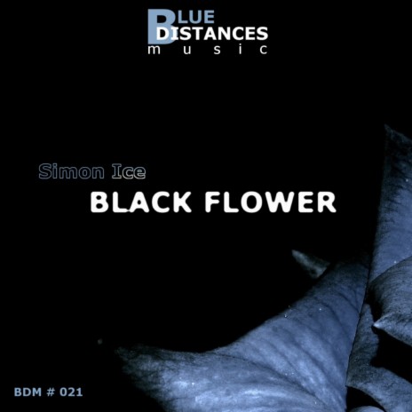 Black Flower (Original Mix) | Boomplay Music