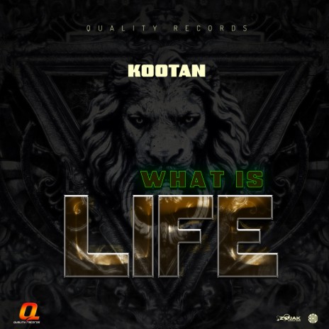 What is Life | Boomplay Music