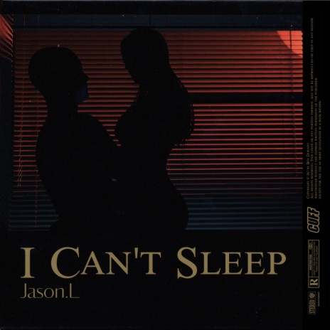 I Can't Sleep (Radio Edit) | Boomplay Music
