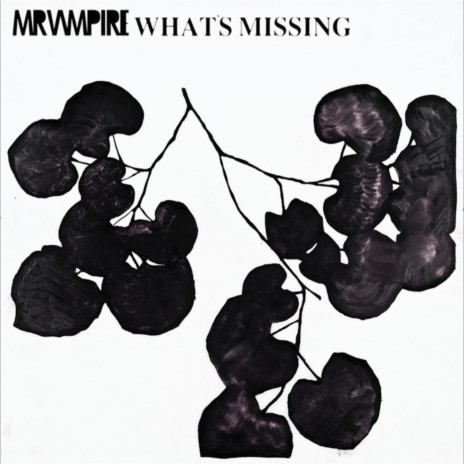 What's Missing | Boomplay Music