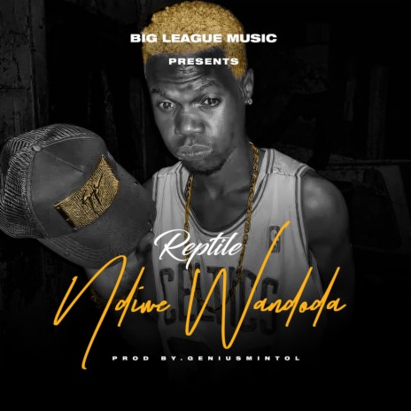 Ndiwe Wandoda | Boomplay Music