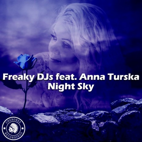 Night Sky (Radio Edit) ft. Anna Turska | Boomplay Music