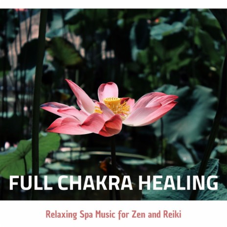 Full Chakra Healing ft. Chakra Ray