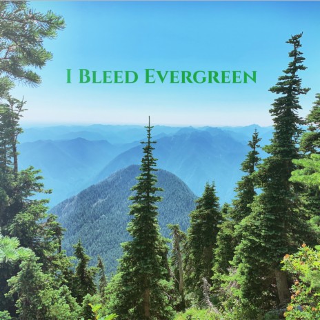 I Bleed Evergreen | Boomplay Music