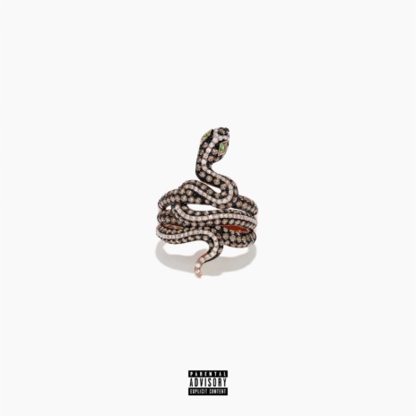 Diamond Snake | Boomplay Music