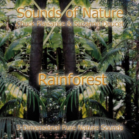 The Rainforest ft. Chuck Plaisance | Boomplay Music
