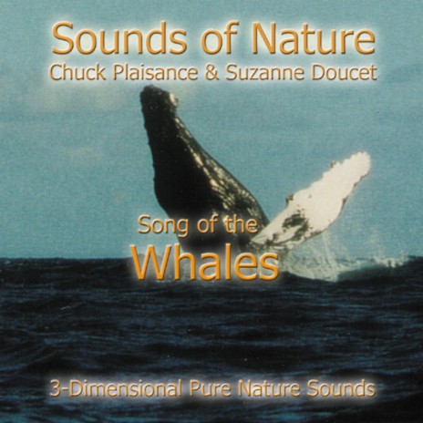Song of the Whales ft. Chuck Plaisance | Boomplay Music