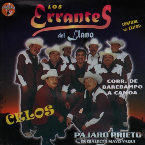 Morena morenita - Los Errantes Del Llano MP3 download | Morena morenita -  Los Errantes Del Llano Lyrics | Boomplay Music