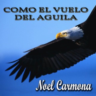 Download Noel Carmona Album Songs Como El Vuelo Del Aguila Boomplay Music