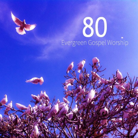 Evergreen Gospel Worship 2 | Boomplay Music