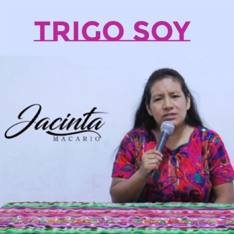 Trigo Soy