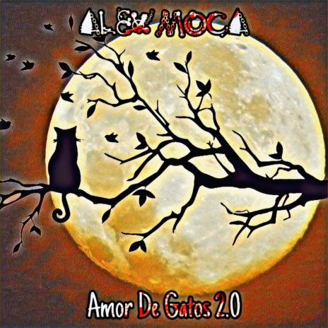 Amor De Gatos 2.0 | Boomplay Music