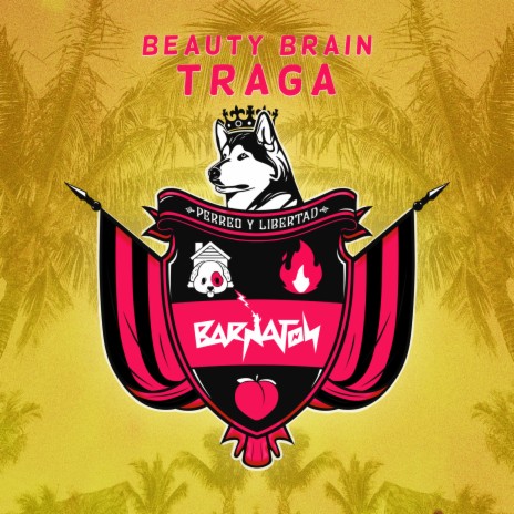 Traga | Boomplay Music