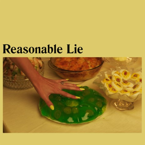 Reasonable Lie | Boomplay Music