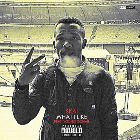 What I Like ft. Young Donar | Boomplay Music