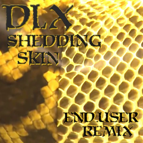 Shedding Skin (enduser Remix) ft. enduser | Boomplay Music
