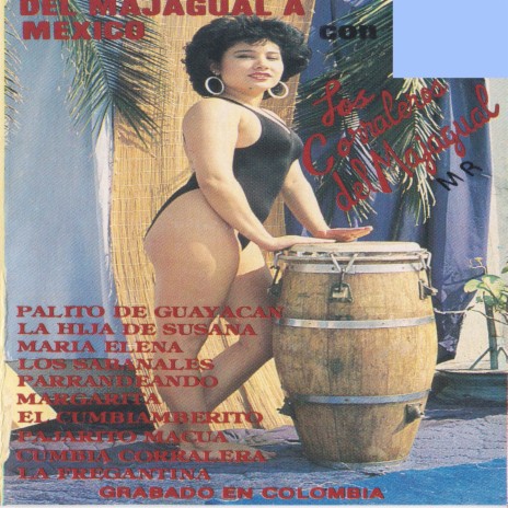 Palito De Guayacan | Boomplay Music