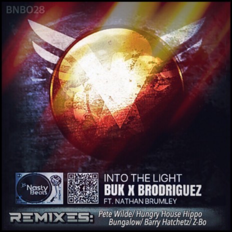 Into the Light ft. Brodriguez, Nathan Brumley & Hungry House Hippo | Boomplay Music