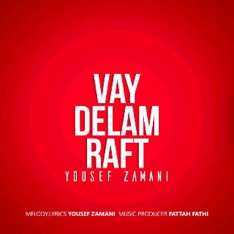 Vay Delam Raft | Boomplay Music